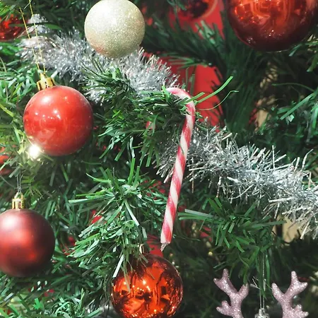 Reindeer Nest Villa *