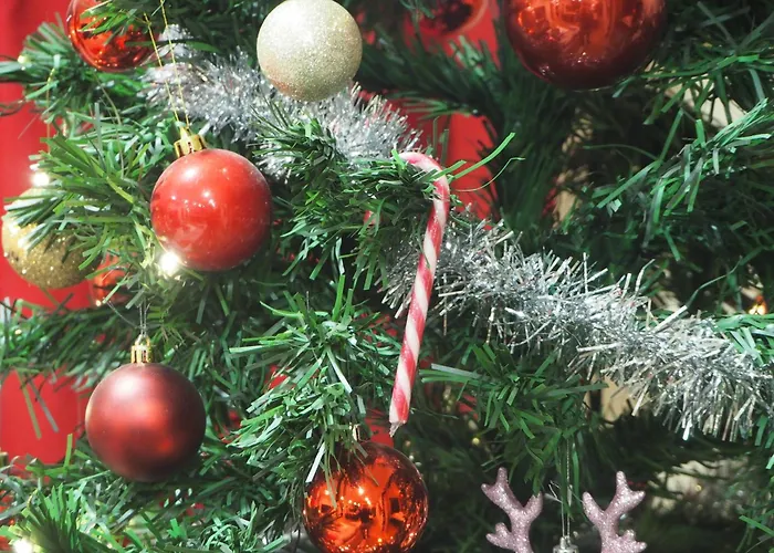 Reindeer Nest Villa *